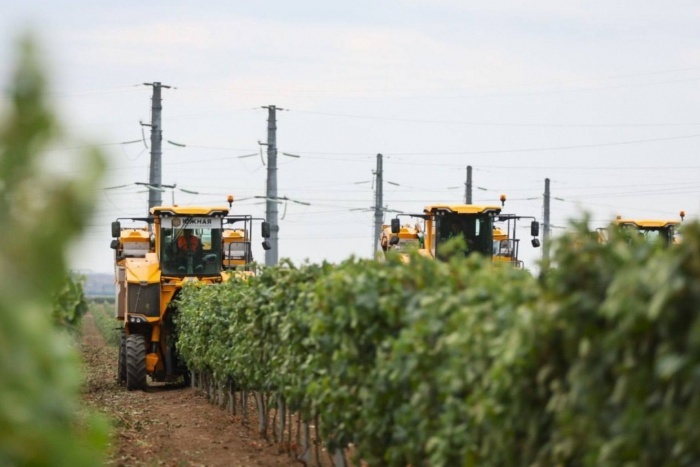    t.me/yuriy_burlachko