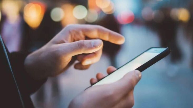    Фото: ImYanis/Shutterstock/Fotodom Фото: ImYanis/Shutterstock/Fotodom