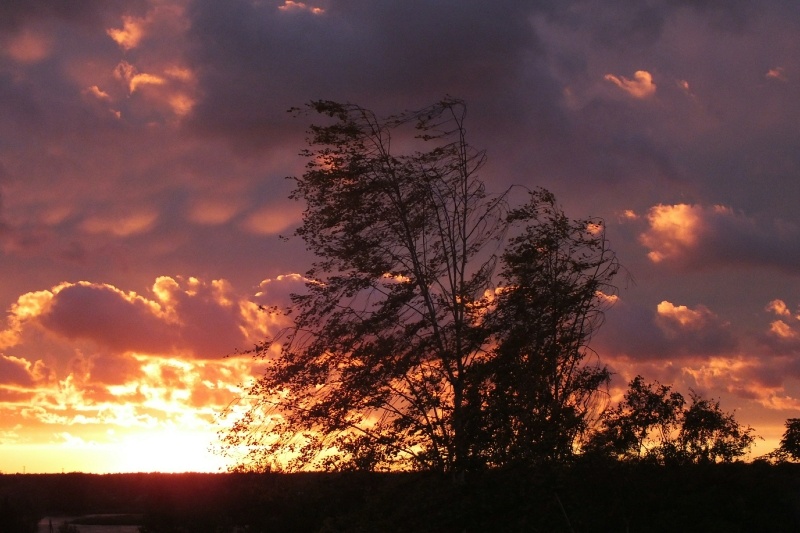    Фото: Виктор Лисицын/Globallookpress.
