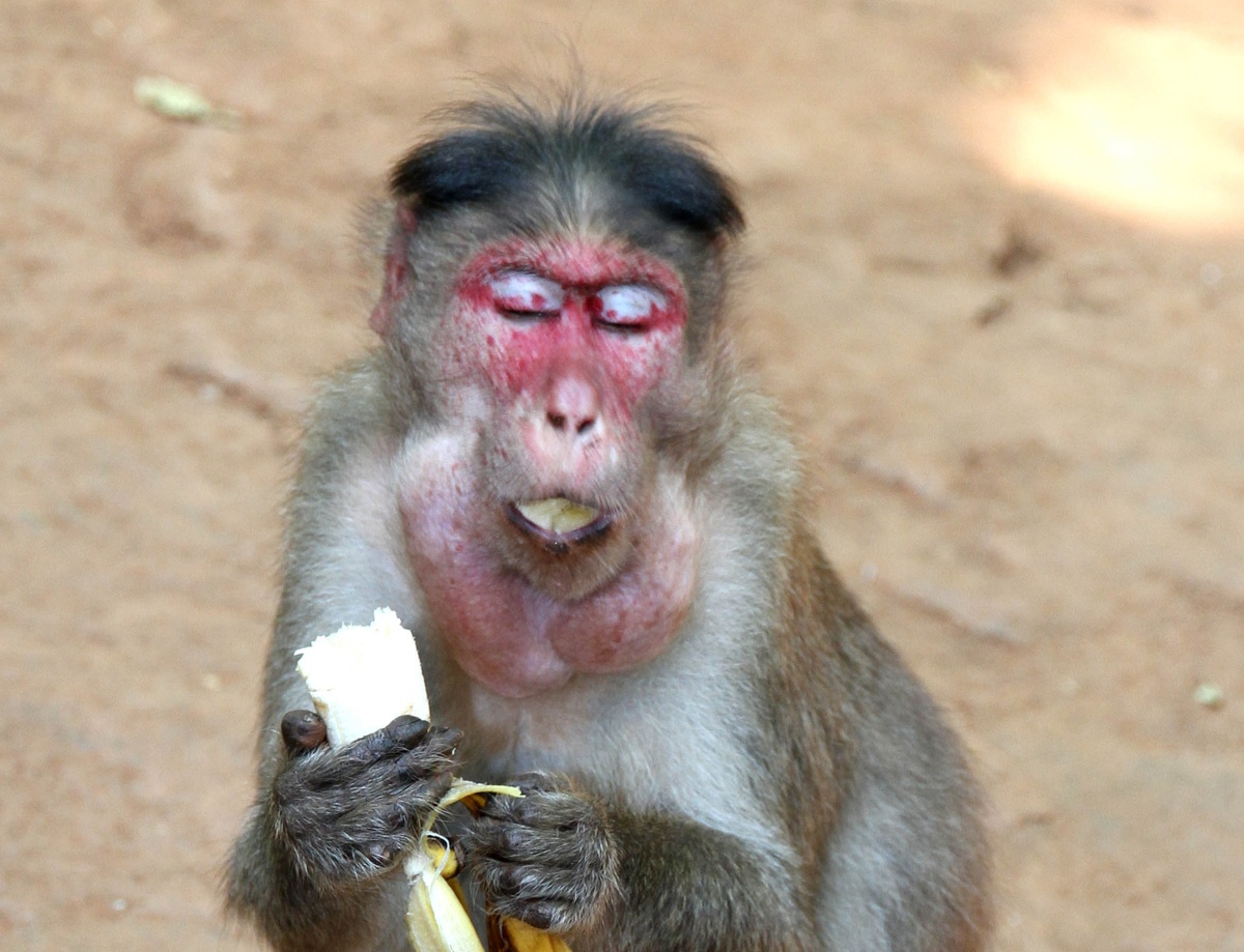 Шутка, конечно