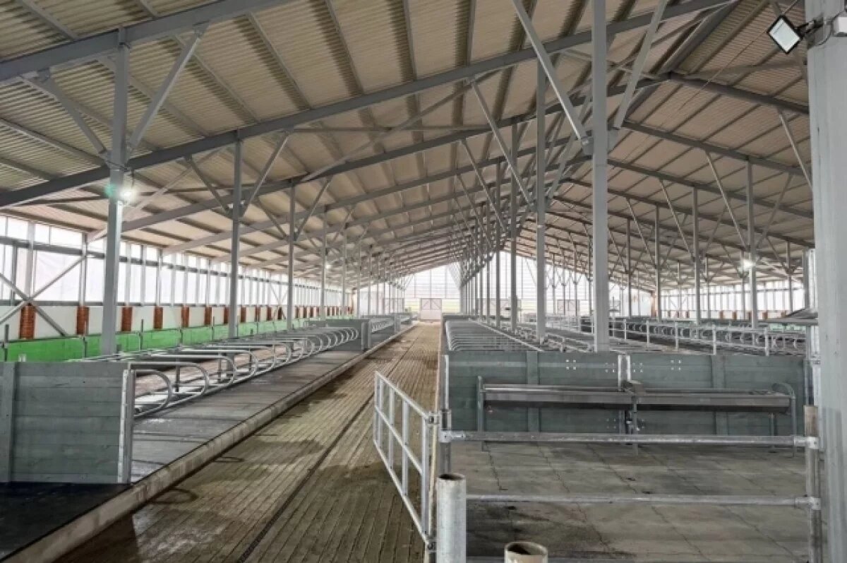    В селе Бабка Частинского округа заработала молочная ферма