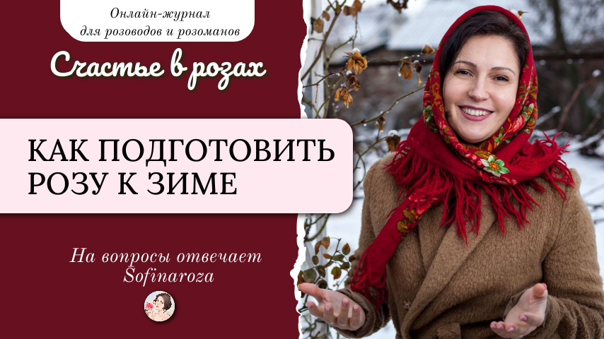 «Счастье в розах», выпуск №43, 17 октября 2025г.