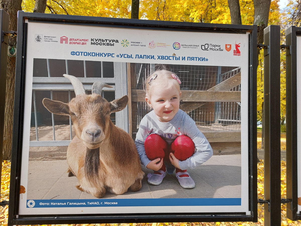 Фото  со стенда