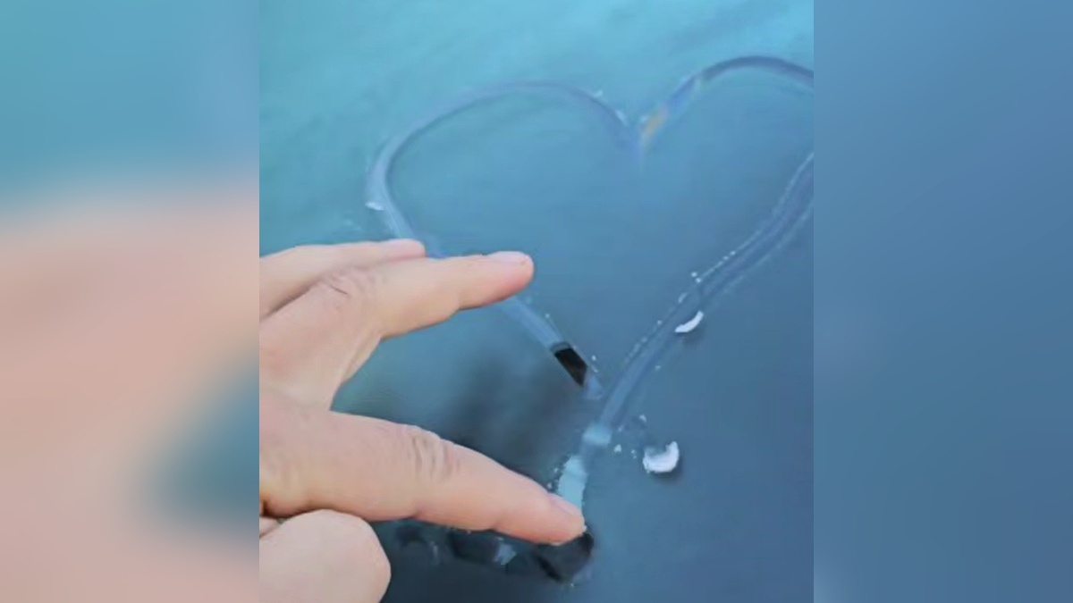    Фото t.me/MoreOz