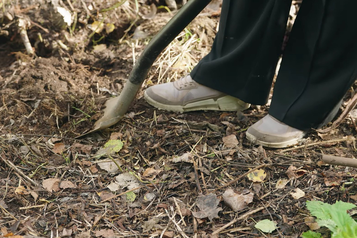 Скриншот видео