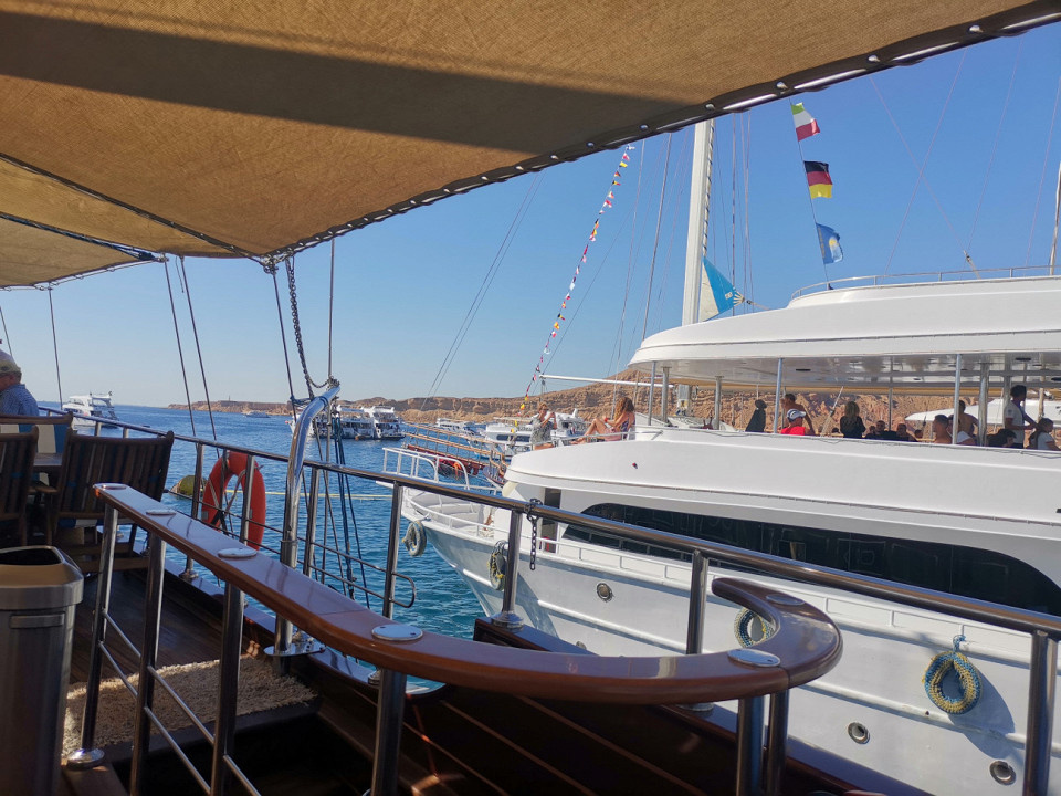 Ирина Сергеева, автор отзыва
