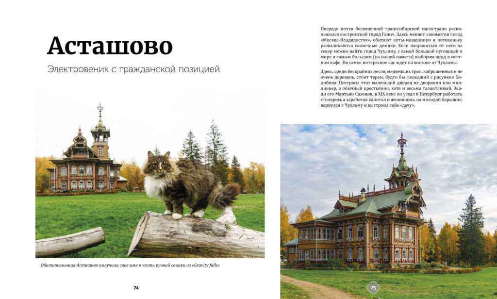    Фото: ТГ-канал «Русские котики»