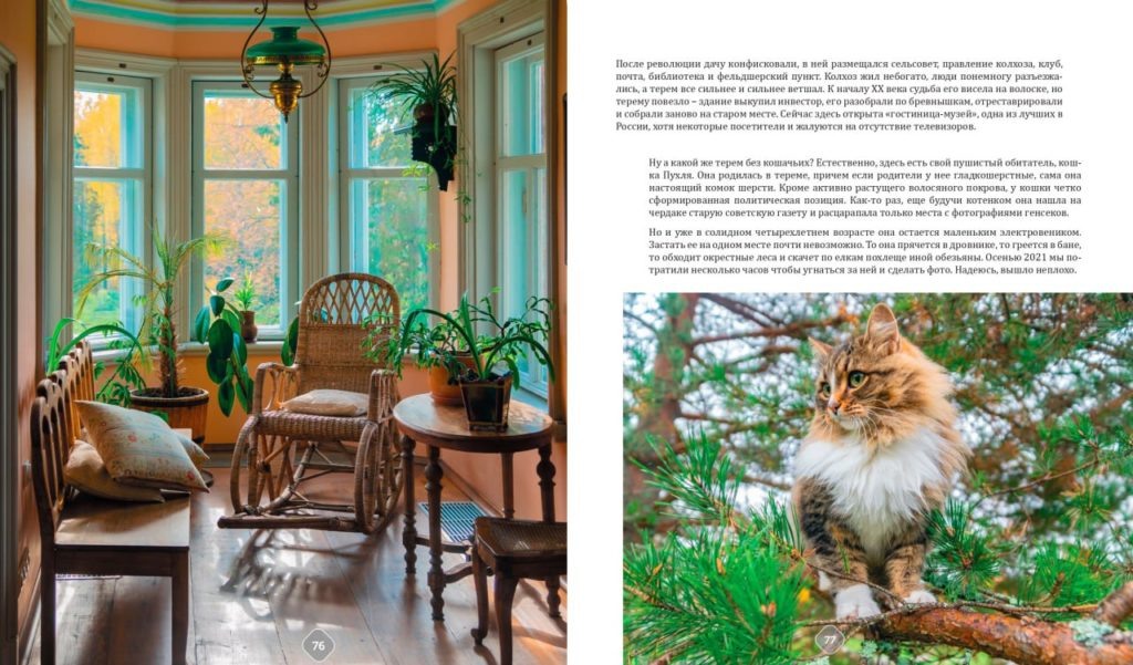    Фото: ТГ-канал «Русские котики»