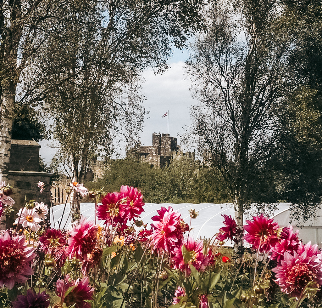 Замок Алник всегда привлекал не только своей красотой, но и таинственностью