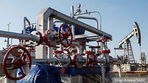     Фото: Егор Алеев/ТАСС   
 Текст: Ольга Самофалова