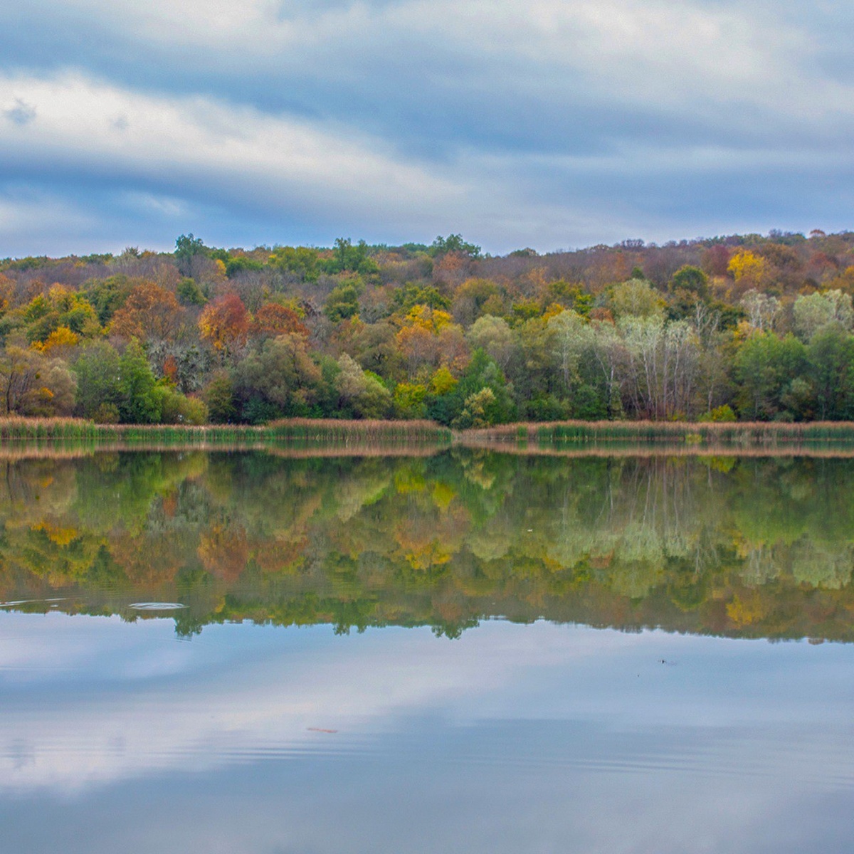 Здесь и далее фото автора, 16 октября 2025 года. 