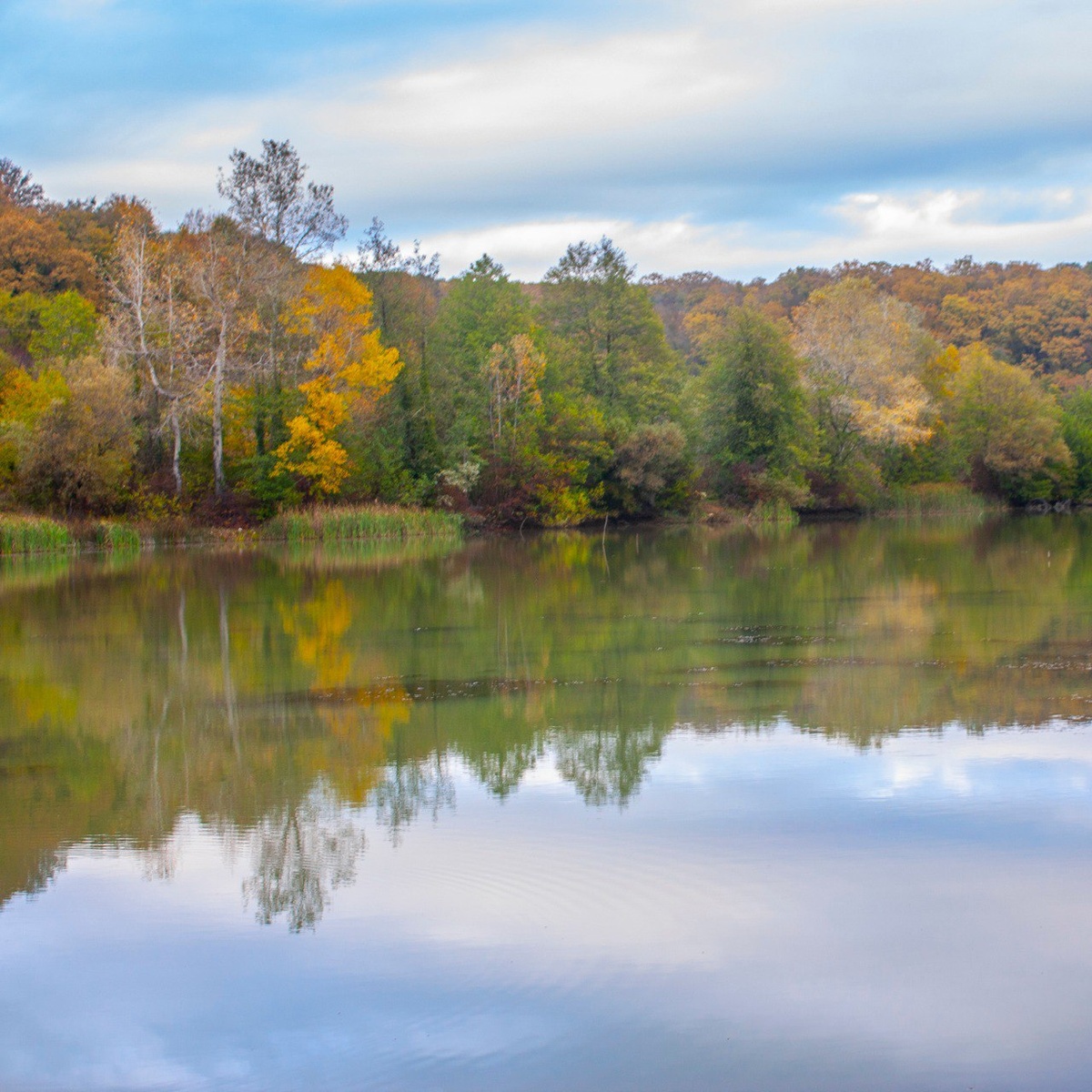 Золотой осенью на озере особенно живописно. 