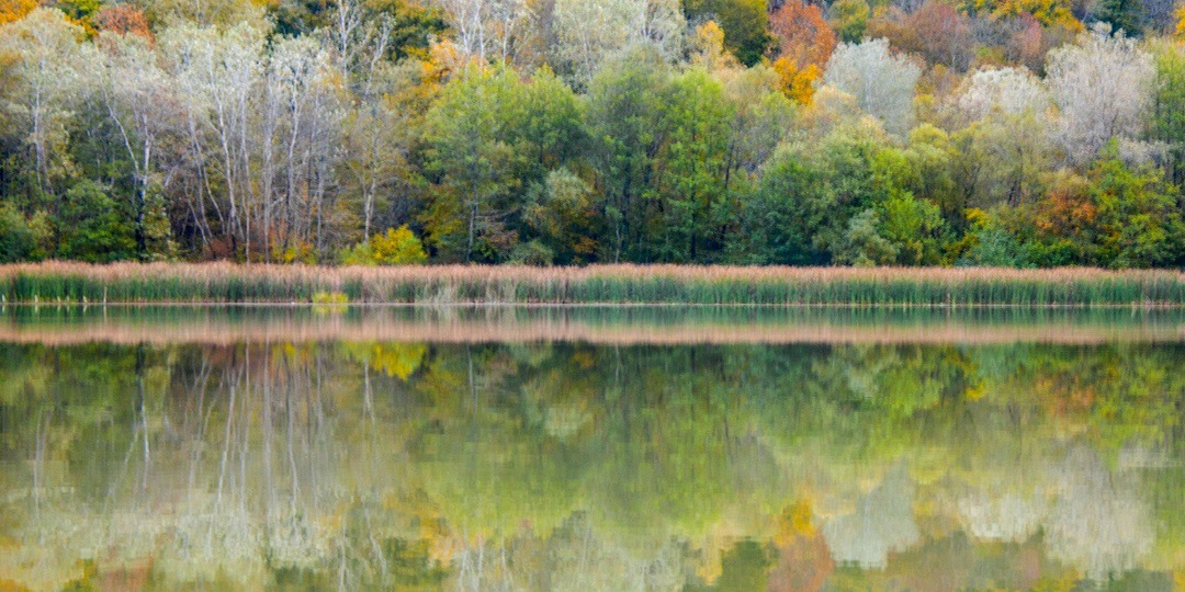 Лесное озеро на реке Шунтук, 16 октября 2025 г.
