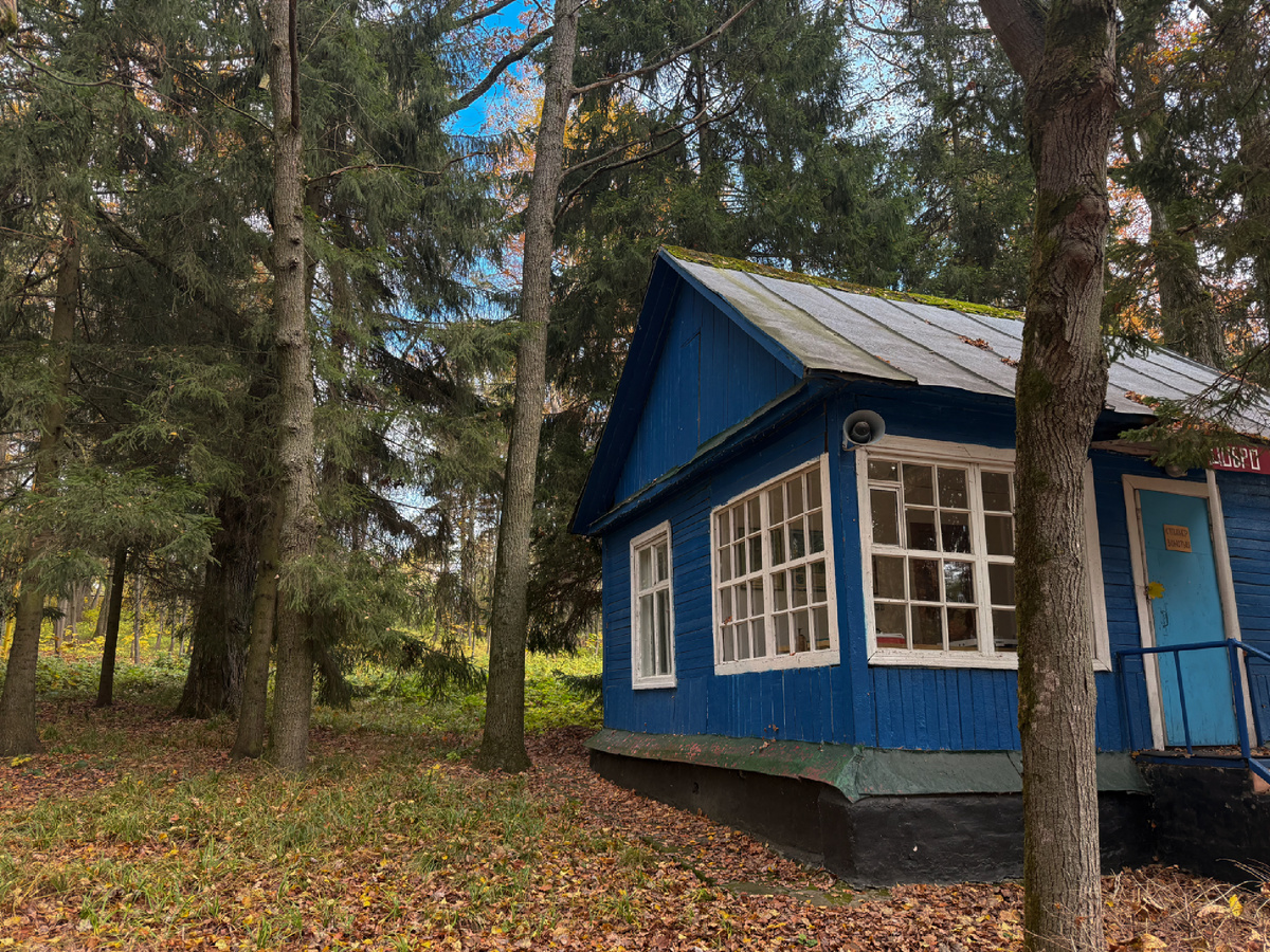 Музей пионерии