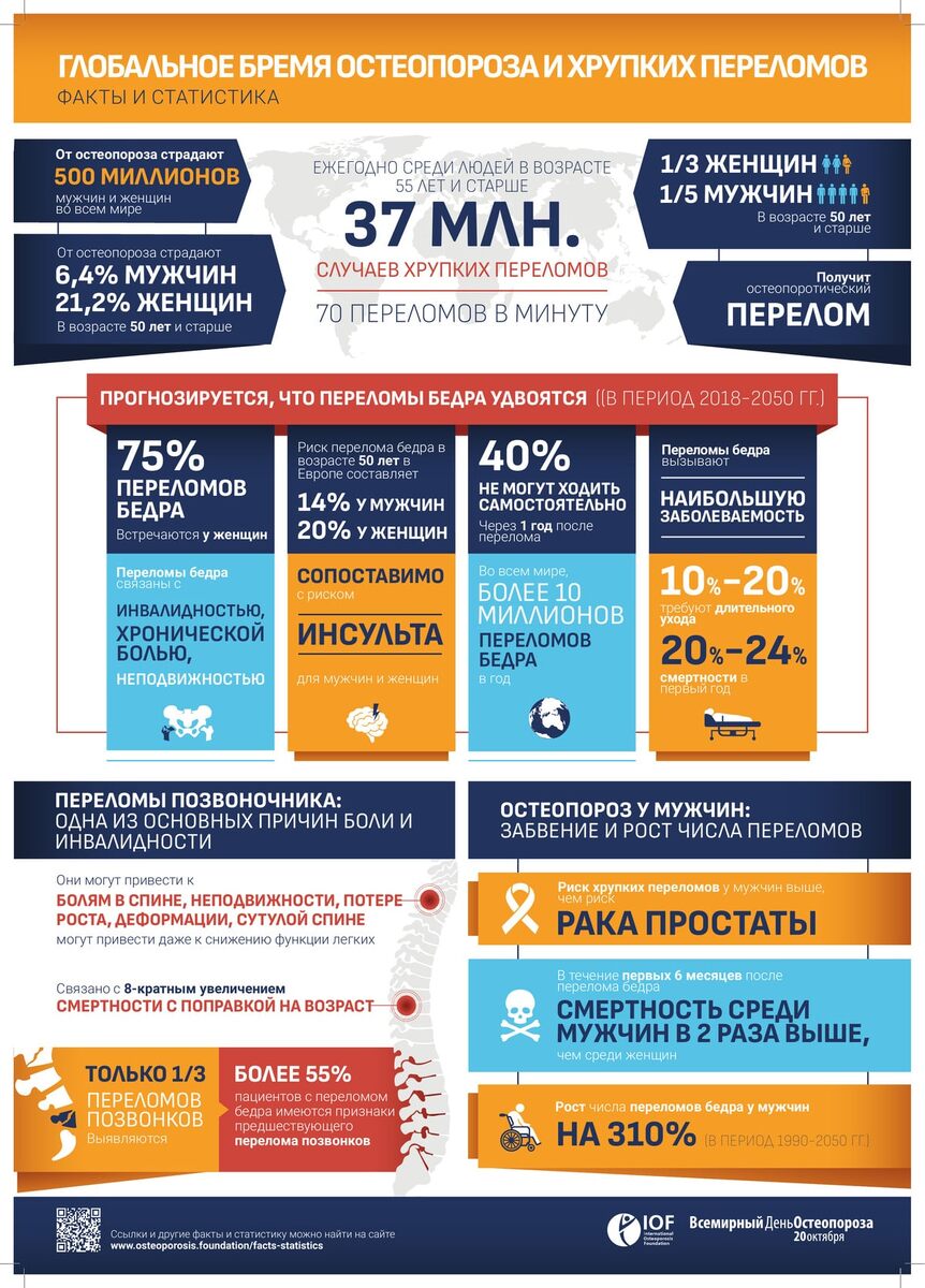    Инфографика: остеопороз и хрупкие переломы / © IOF