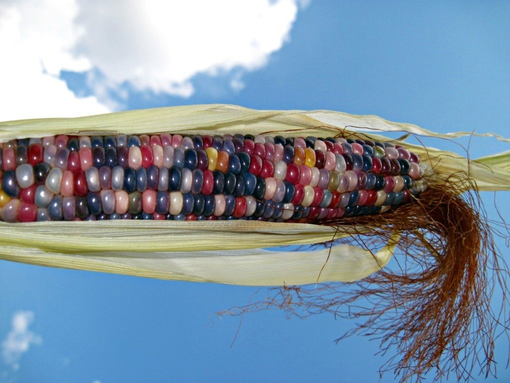 эй, чувак, ты в порядке?