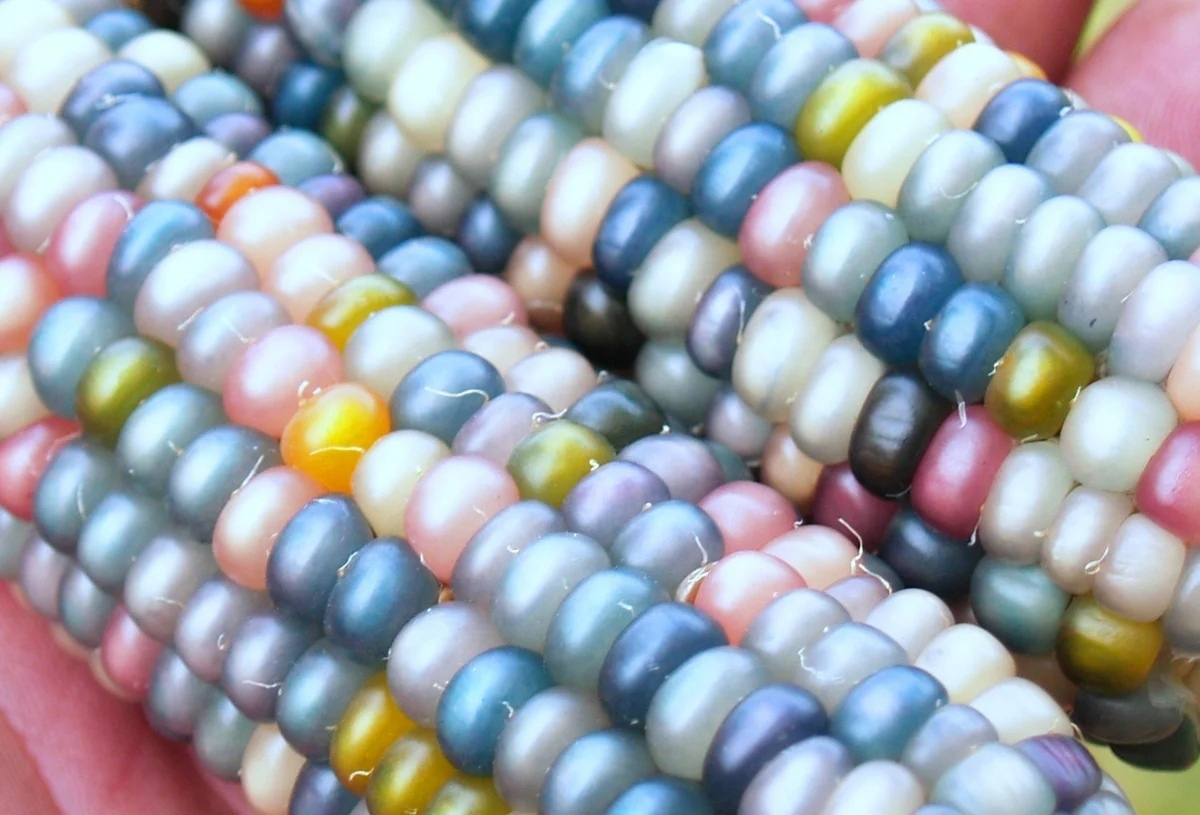 и правда выглядит, как морская жемчужина!