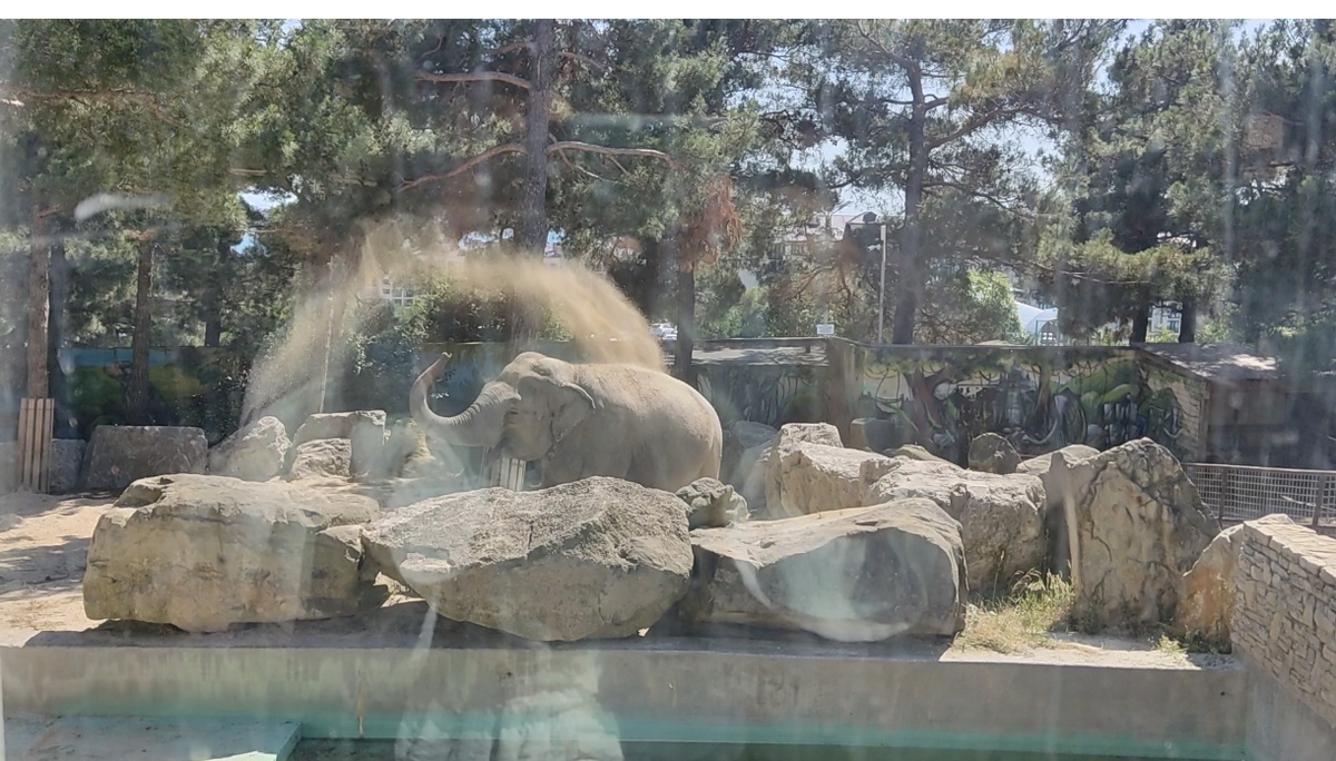 Фото автора. Геленджик. Сафари - парк. 