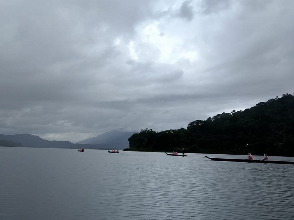 Автор отзыва
