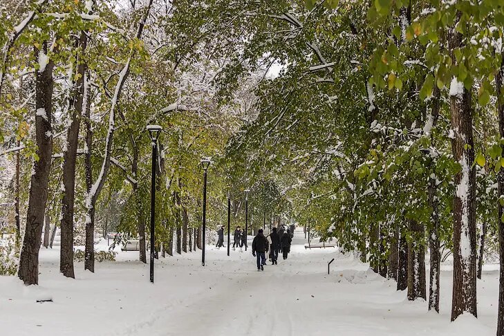    Фото Андрея Заржецкого