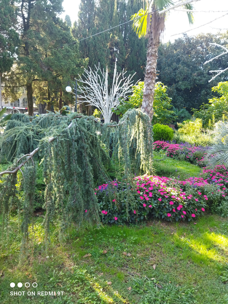 В Адлере по летнему тепло