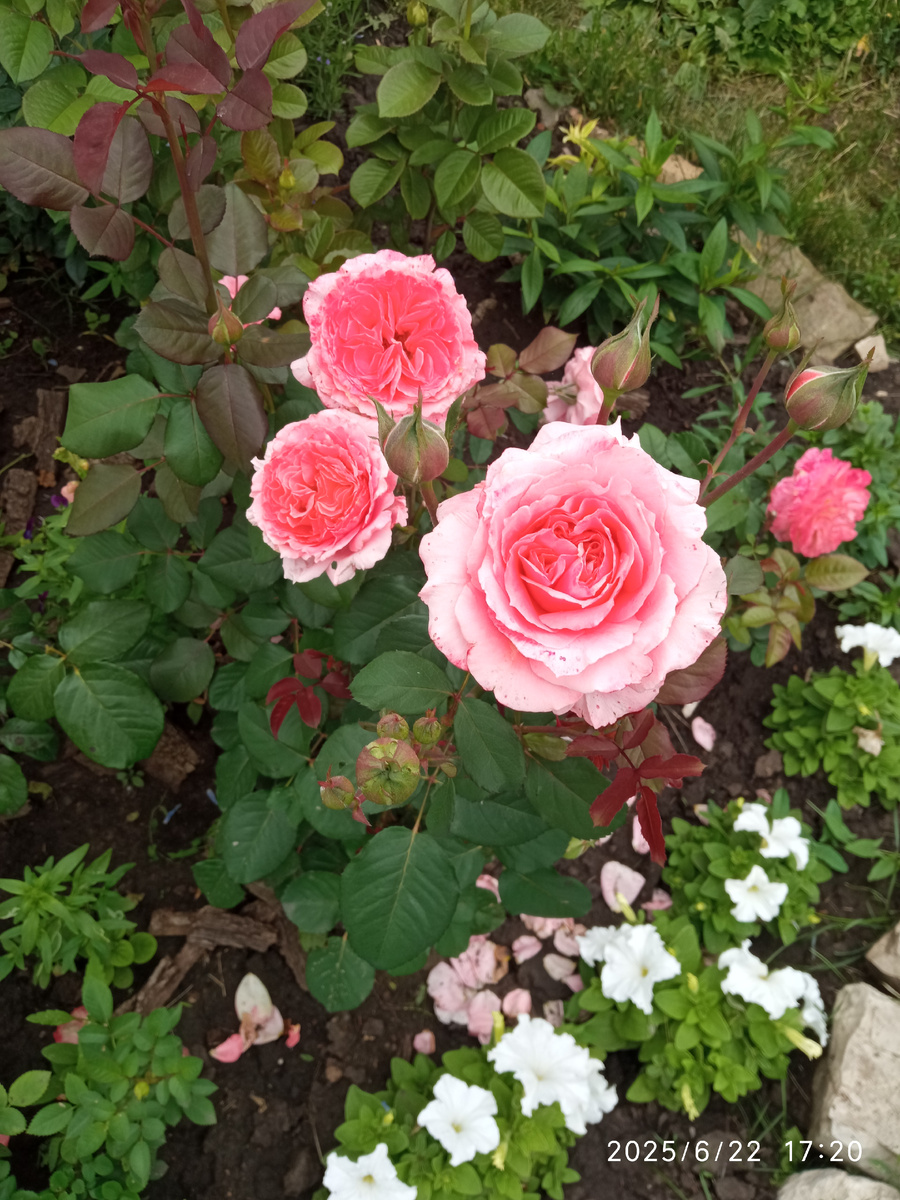 фото личные