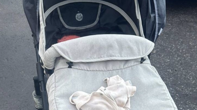    СК РФ по городу Санкт-Петербургу