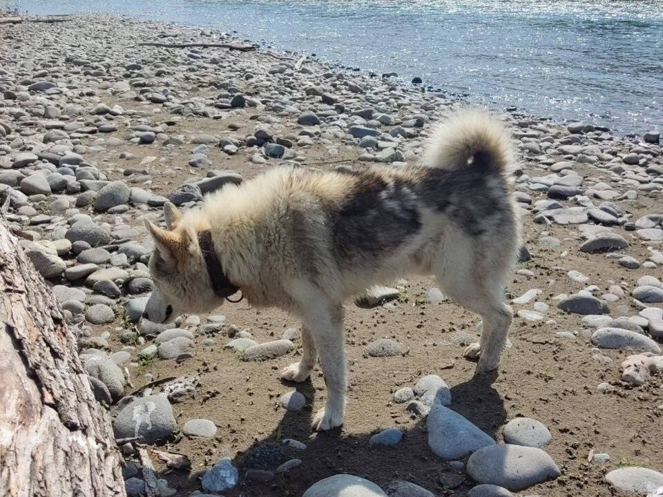 Дарья Терехова, автор отзыва
