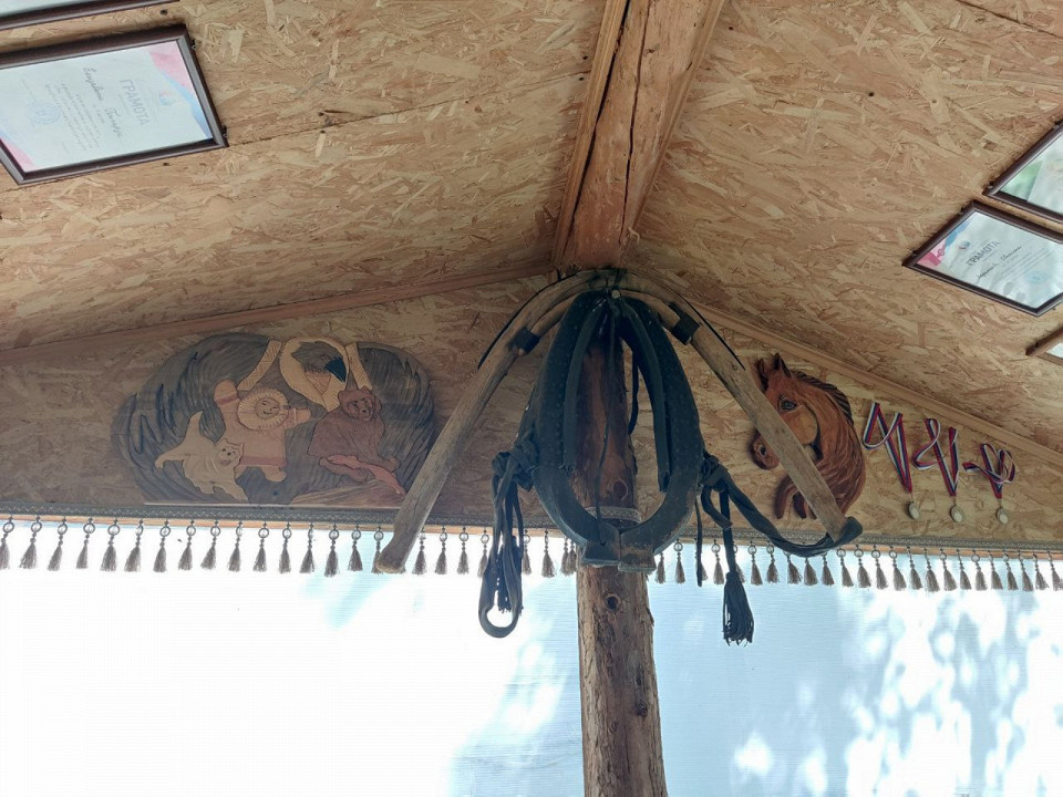 Дарья Терехова, автор отзыва
