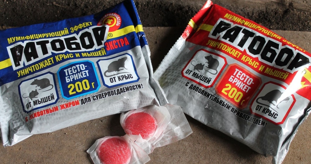 Родентициды второго поколения: эффективная защита от грызунов в доме и саду