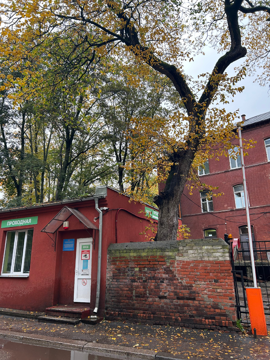 Пока пришлось лечь в инфекционную больницу на Фрунзе.