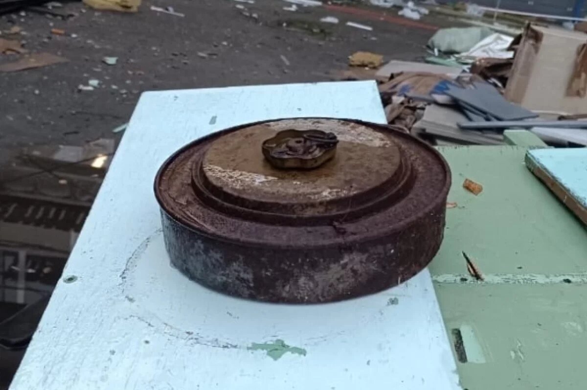    Учебные муляжи двух мин обнаружили на заднем дворе школы в Лахденпохье