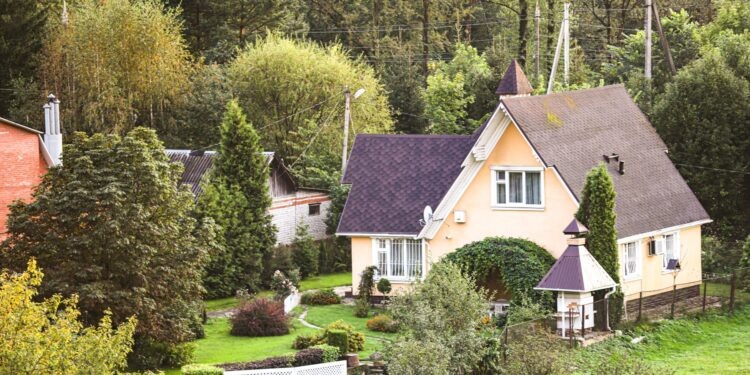    Илья Тушев / Вести Подмосковья