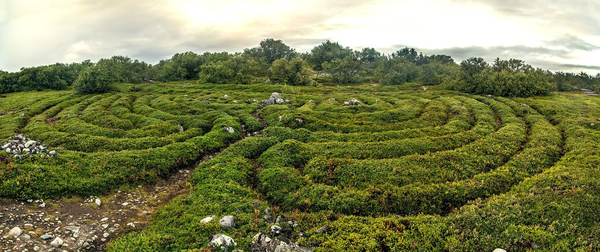 Туристический информационный центр «Соловки»