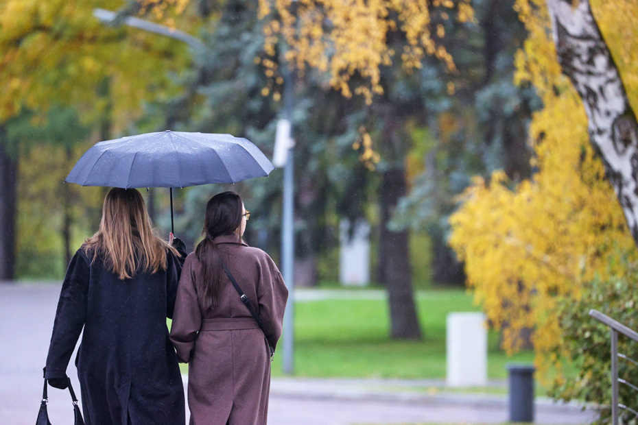    Сергей Булкин/NEWS.ru