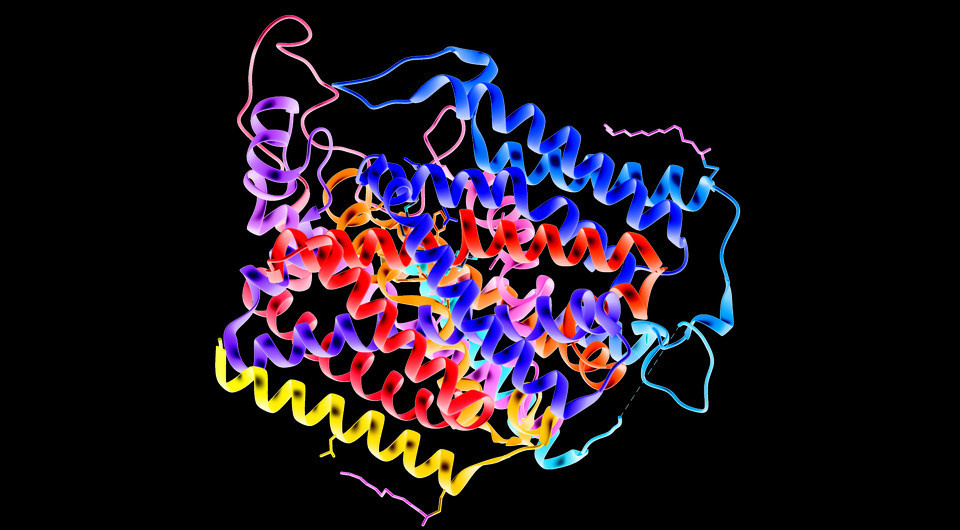   Goultard59 / Wikimedia Commons / CC BY-SA 4.0