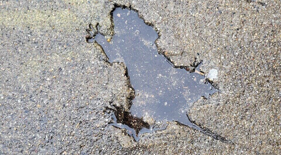   WinslowDumaine / Wikimedia Commons / CC BY-SA 4.0