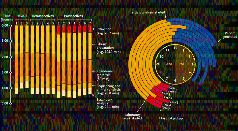   N + 1; Amy Taylor / Flickr / CC BY-NC-SA 2.0; Monica H. Wojcik et al. / NEJM, 2025