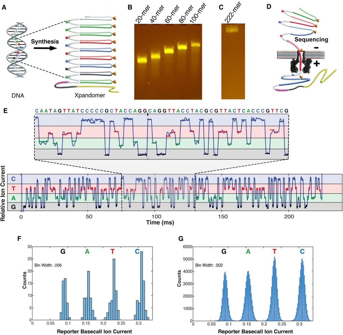   Mark Kokoris et al. / biorXiv, 2025