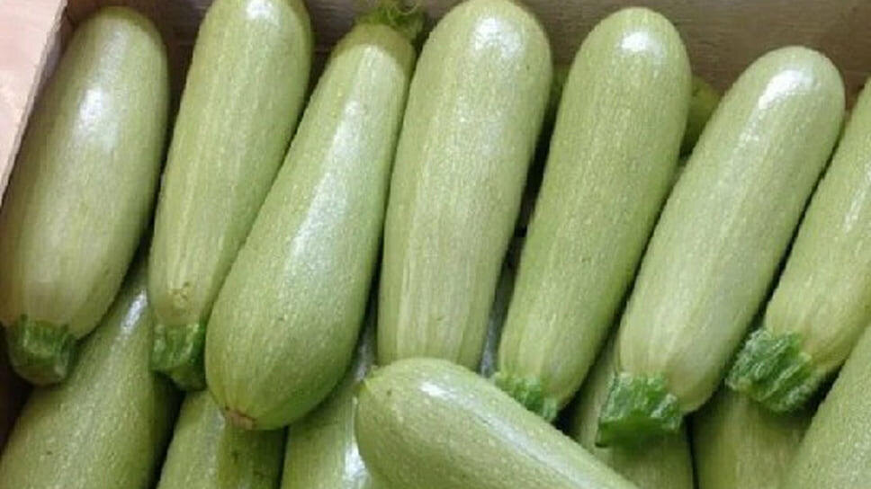    Фото: пресс-служба Южного межрегионального управления Россельхознадзора