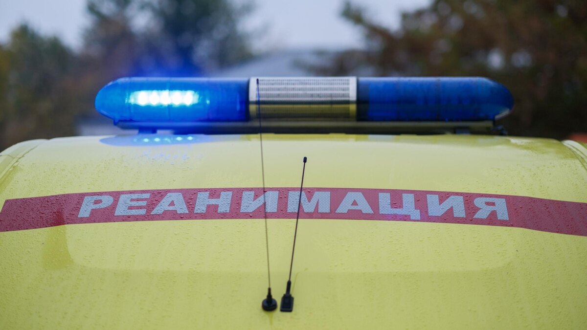    Фото: ИЗВЕСТИЯ/Сергей Виноградов