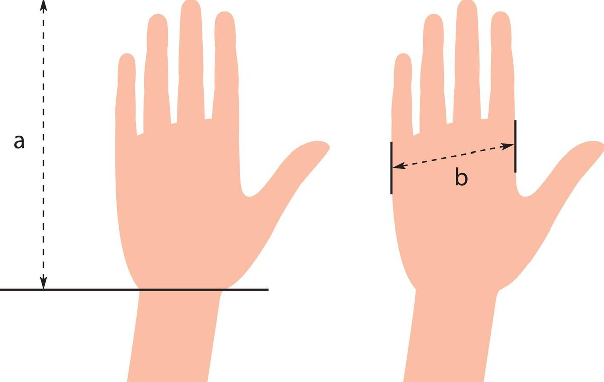 Shutterstock / FOTODOM📷Для перчаток всегда измеряют ведущую руку — правую или левую у левшей