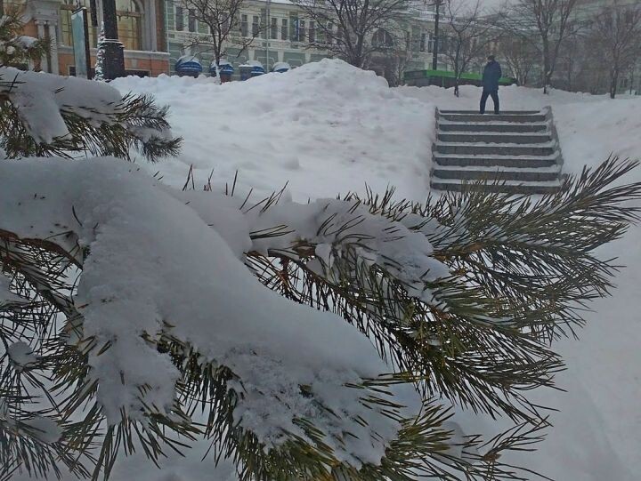    Фото:Виктория Андреева