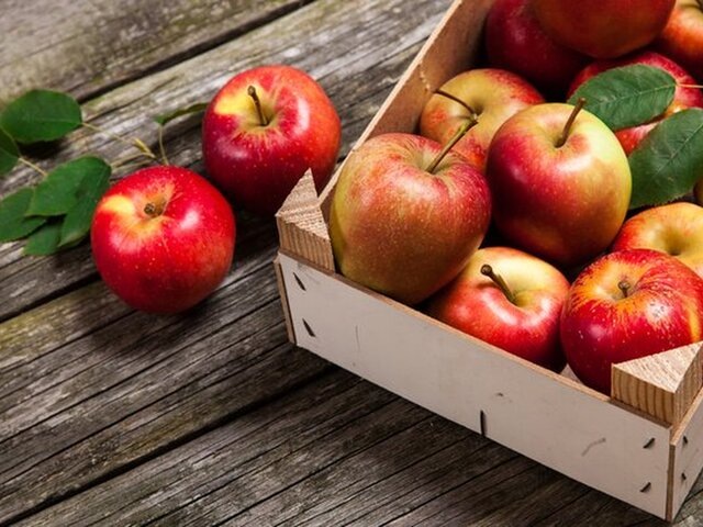    Фото: 123RF/gdolgikh