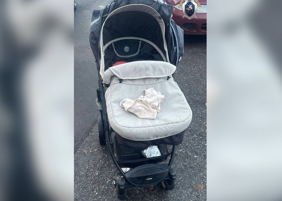     / Источник: © Питерский Следком