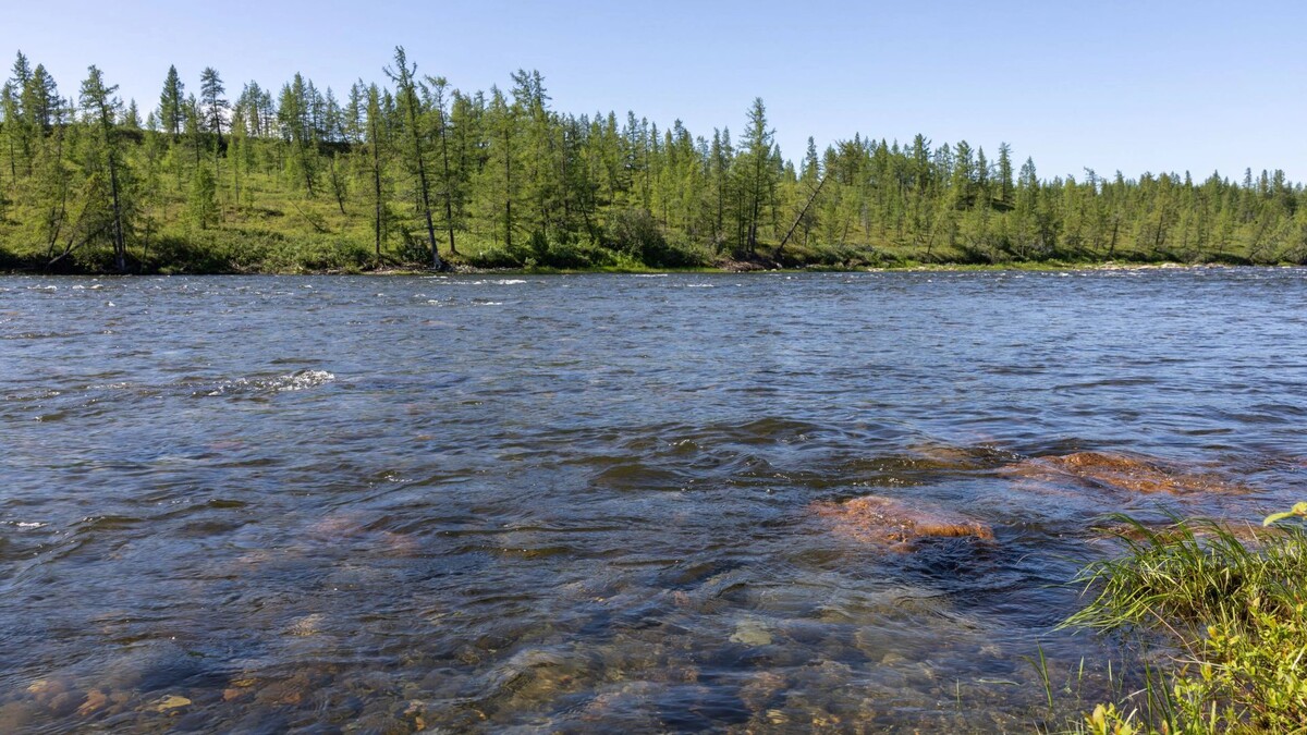    Фото: Александр Чирва / «Ямал-Медиа»