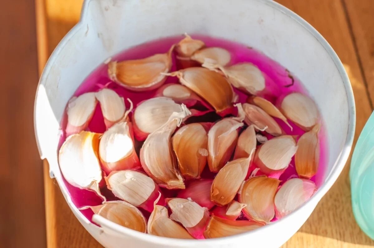    Замачивание чеснока перед посадкой — не прихоть, а агротехнический прием, от которого напрямую зависит урожай.