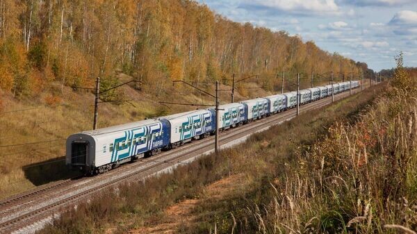    © Пресс-служба компании-перевозчика "Гранд Сервис Экспресс"