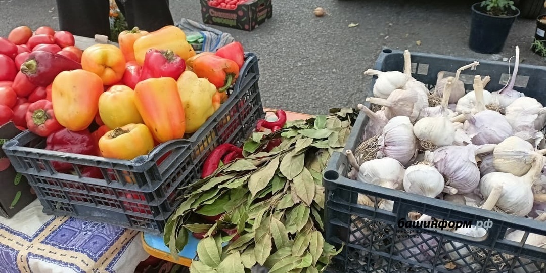 В Башкирии изменились цены на продукты и бензин