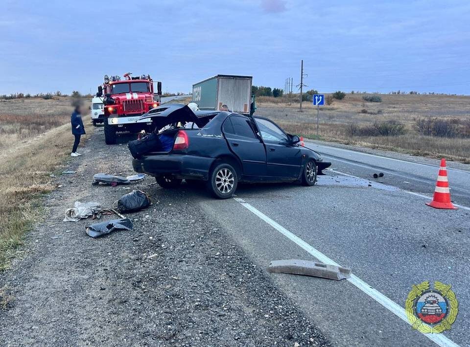    Фото: ГУ МВД по Волгоградской области